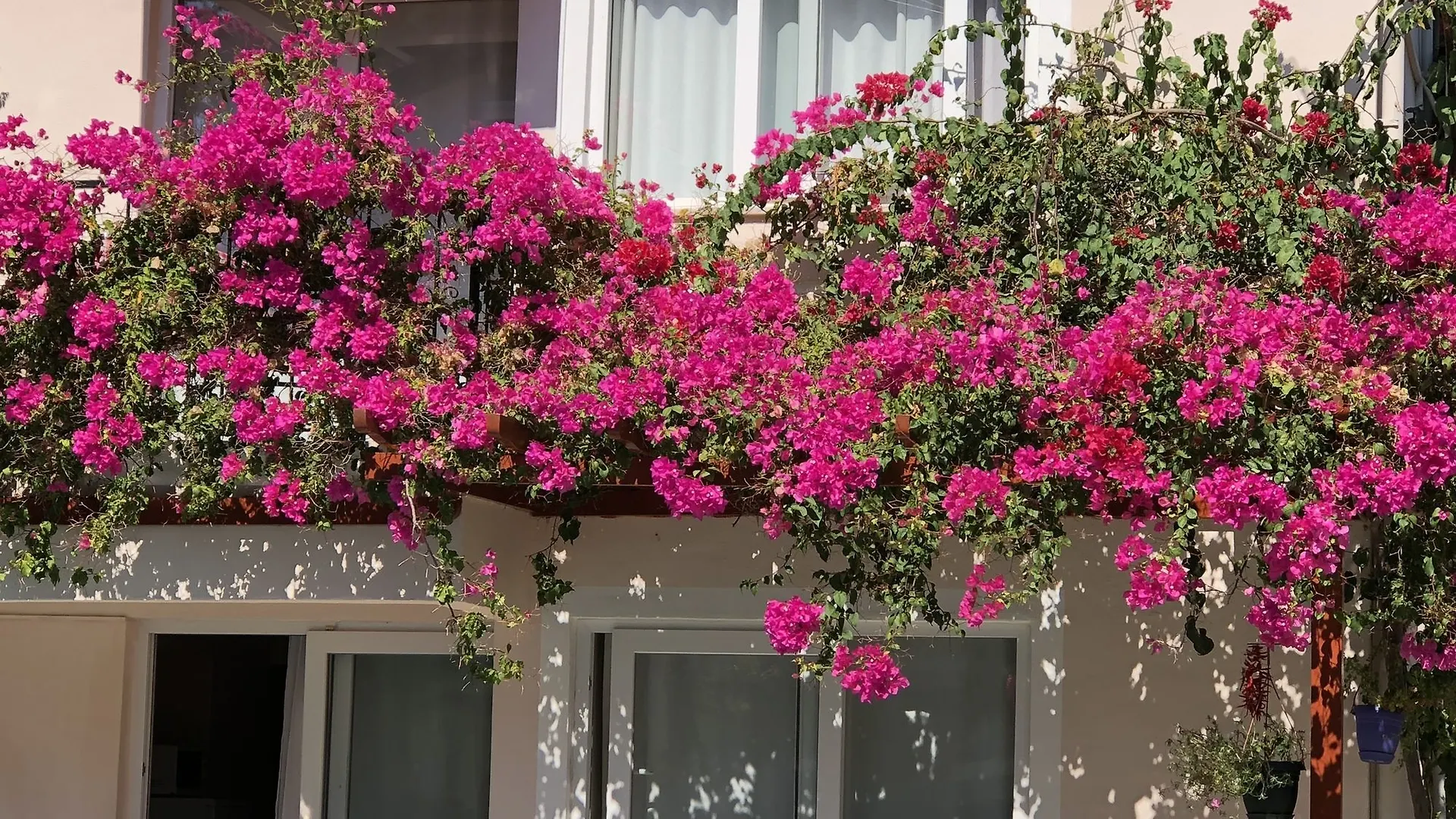 Ten Apart Hotel Fethiye